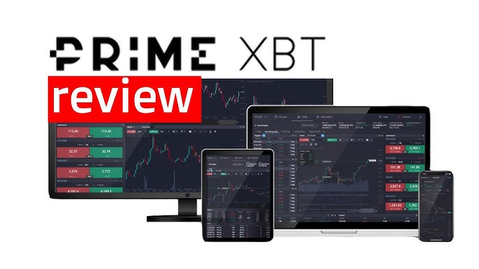 Primexbt vs Pocket Option Primexbt vs Pocket Option
