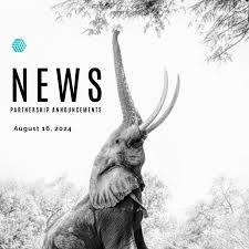 Effective Strategies for Pricing Services for B2B 2